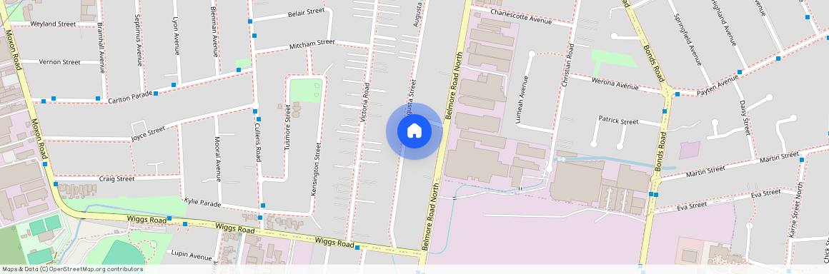 62B Augusta Street, New South Wales, NSW 2196, Punchbowl