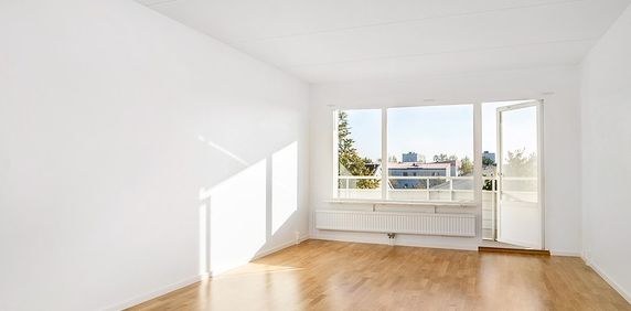 Skorpionens Gata 507, Brandbergen - Photo 2