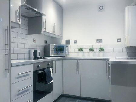 Springbank Road, Newcastle Upon Tyne - Photo 3