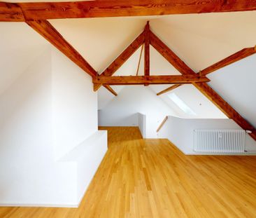 Bijou im Herzen von Zürich - Foto 5