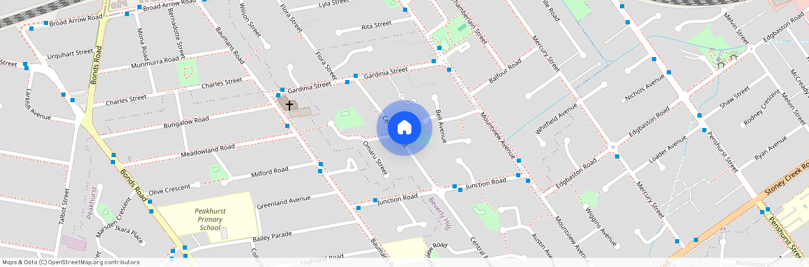 47 Central Road Beverly Hills, NSW 2209