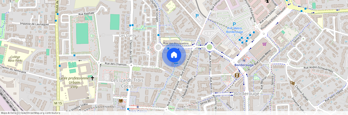 14 Rue des Bouquetins, 31200, Toulouse