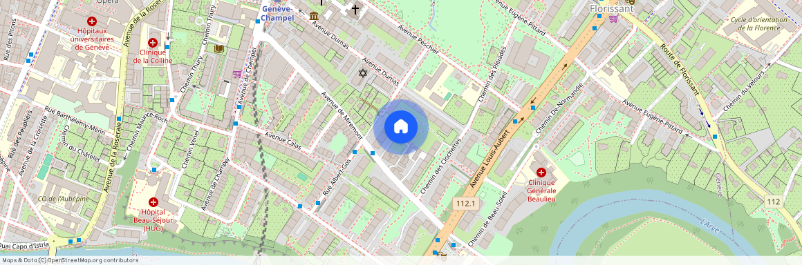 Rue Louis - Curval 10, 1206, Genève