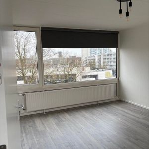 Te huur: Studio Daniël Josephus Jittastraat in Tilburg - Photo 2