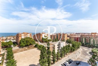 Penthouse for rent with Terrace in Patacona (Alboraya)
