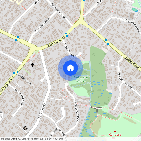 93 Malaspina Place, Papatoetoe, Manukau City