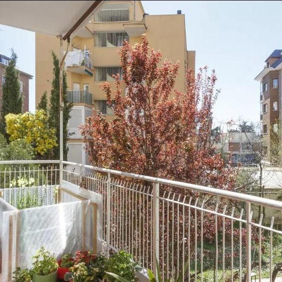 Habitación - Madrid - Bernabéu-Hispanoamérica - 690€ MES - Ref. RYN-HATJ3 - Foto 1