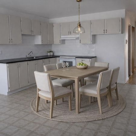 LACHINE CHARMANT 4 1/2 STATIONNEMENT - Photo 4