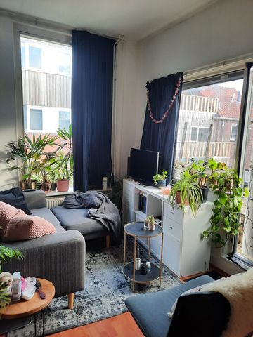 Zuidvliet 230B - Photo 2