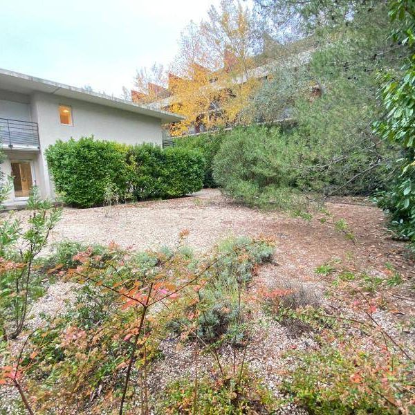 Location appartement 5 pièces 143.31 m² à Montpellier (34000) - Photo 1