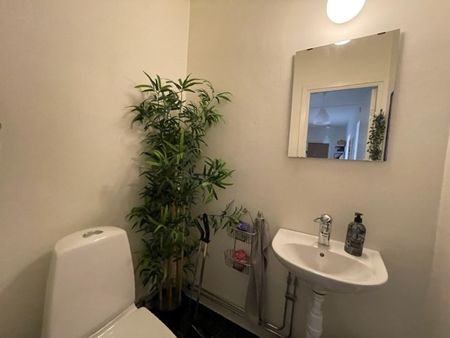 Möllevångstorget, Malmö - Foto 5