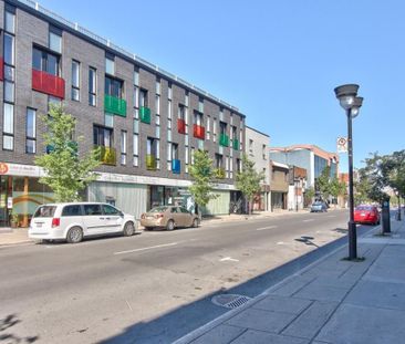 7370 Rue St-Hubert, app.201, H2R 2N3, H2R 2N3, Montréal - Photo 4
