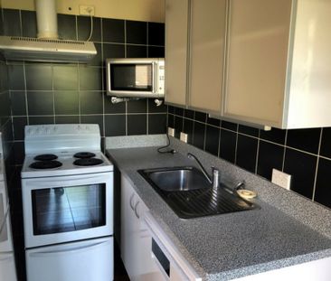 Cute and comfortable in Maori Hill - Available 13/10/2025 - Photo 4
