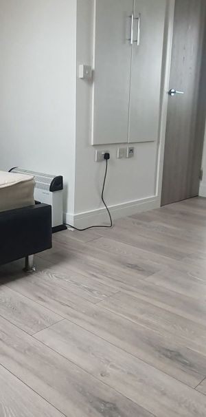 Flat 4, 25 Minny Street, Cathays, Cardiff, CF24 4ES - Photo 1