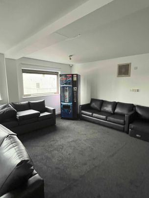 Medium High Double Studio - Photo 1