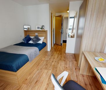 Bronze Studio Plus - Photo 5