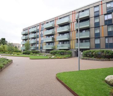 Room in a Shared Flat, Dan Court, NW10 - Photo 6