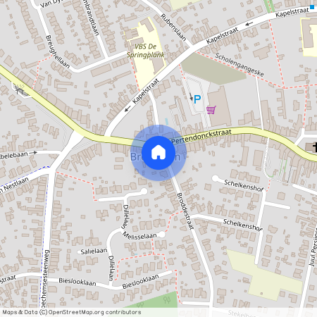 Pertendonckstraat 55, 2520 Broechem