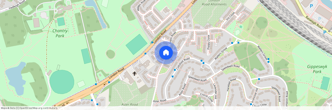 Lupin Road, Ipswich, IP2