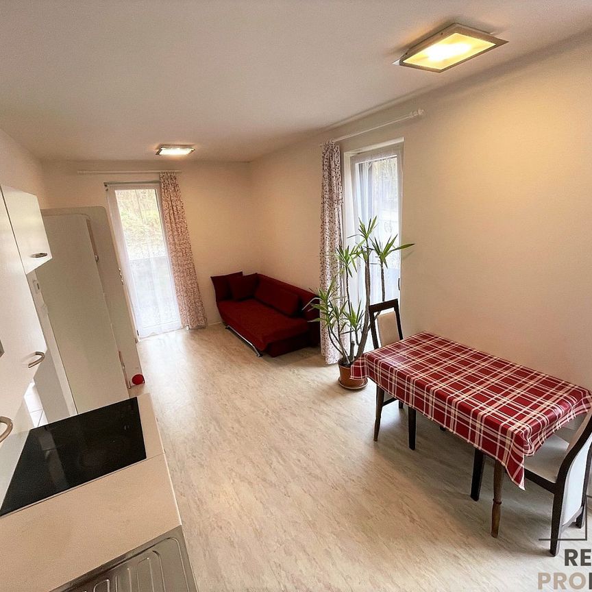 Pronájem bytu 1+kk 25 m² - Photo 1