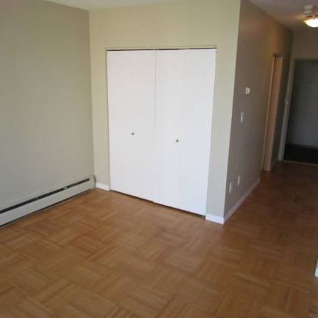 Large Bright Studio available - Photo 3