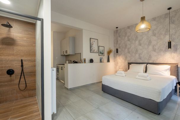 Studio/Γκαρσονιέρα για ενοικίαση Αγίου Μελετίου - Πλατεία Βικτωρίας - Μάρνη (Λεωφόρος Πατησίων - Λεωφόρος Αχαρνών) - Photo 1