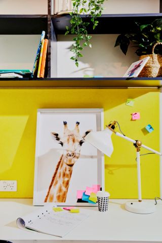 Twin Apartment-Single Bed with Standard View - Photo 5