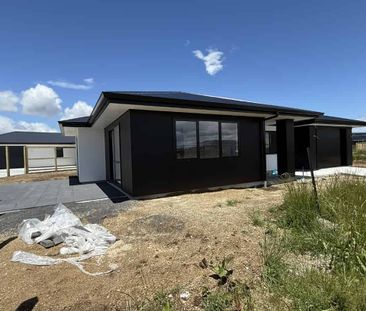 Brand New Living Near the Lake - Photo 1