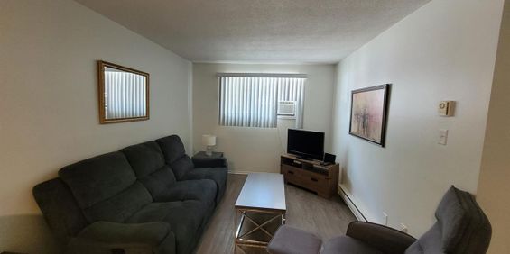 19 Rue D'Orléans (Gatineau) Beau 4 1/2 à Louer - Photo 3