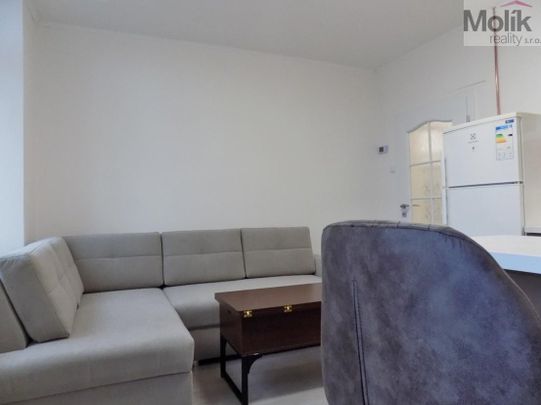 Pronájem bytu 2+1 53 m², U Hadích lázní , Teplice - Photo 1