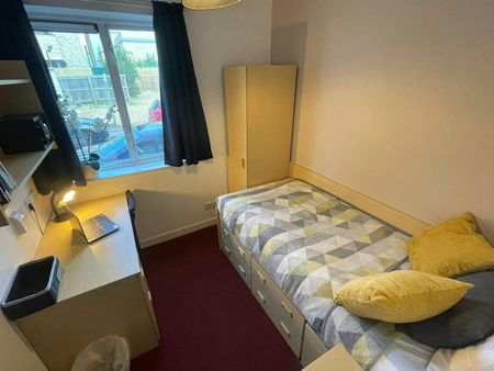 House share to rent on - Photo 3