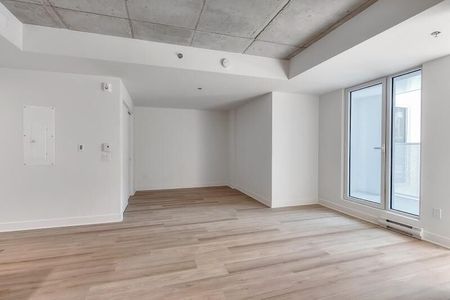 Laurence Condo Rentals in Old Montreal - Photo 4