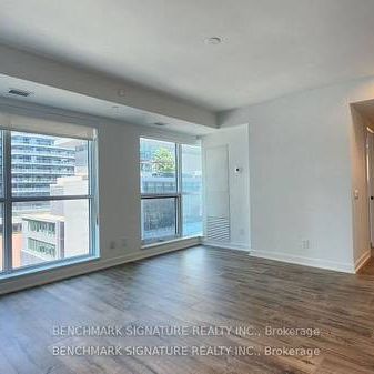 1 Bedroom, 1 Bathroom - Maverick Condos - Photo 3