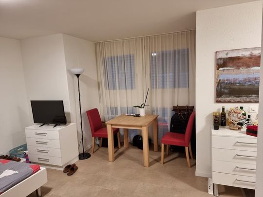Möblierte Wohnung in Mitten von Zürich - Photo 1