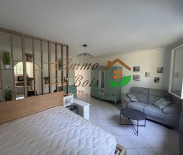 Location Appartement 1 pièce 35m² ROUSSILLON 38150 - Photo 3