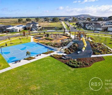 Olivine by Mirvac: Contemporary Comfort Meets Scenic Parkland Living - Photo 4