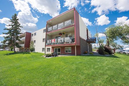 Raleigh Square Apartments - Photo 3