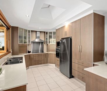 Inner City Oasis - Photo 5