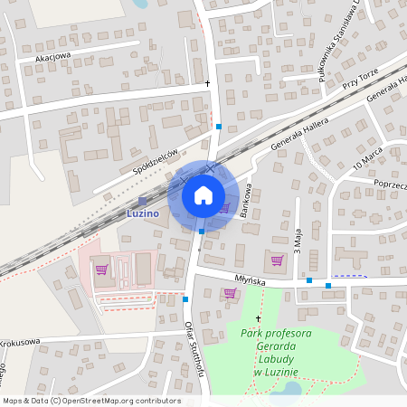 Luzino, Luzino, wejherowski, pomorskie