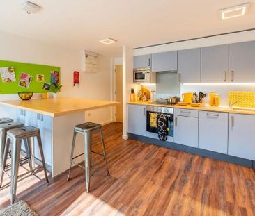 Room in a Shared Flat, Hollingdean Road, BN2 - Photo 3