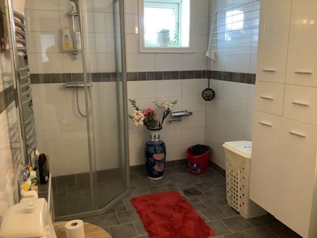 Brunflovägen, Östersund - Photo 5