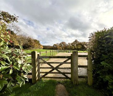 4 bedroom detached bungalow to rent - Photo 5