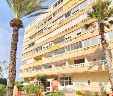 1 BEDROOM APARTMENT - TORREVIEJA - Photo 5