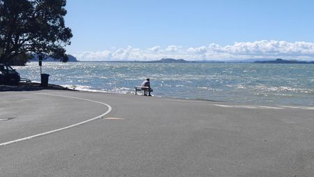 Property Management33A Valley Road, Titirangi - House for Rent - Photo 2