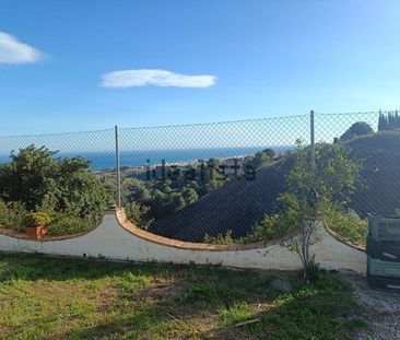 Alquiler de casa o chalet independiente en Los Espartales s/n - Photo 3