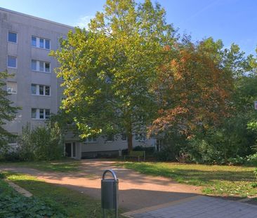 Familienfreundliches Paradies in Halles beliebter Südstadt - Foto 2