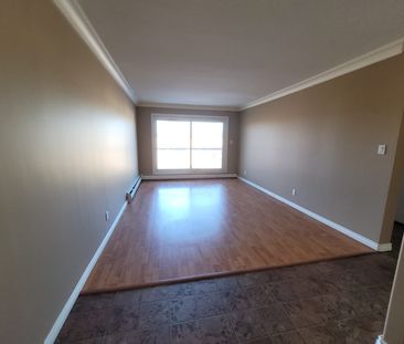 1 Bedroom Apartment w/ In-Suite Laundry!!! - Photo 1