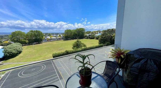 Prime Ponsonby Location! - Photo 1