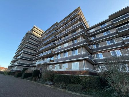 Gerenoveerde studio met aparte slaaphoek, terras en parking - Photo 5