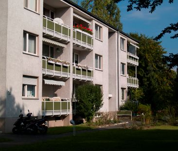 Demnächst frei! 2-Zimmer-Wohnung in Bonn Plittersdorf - Photo 1